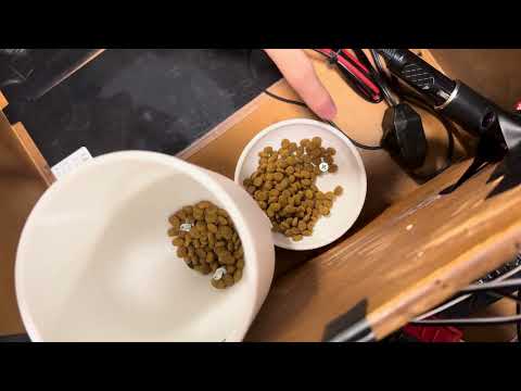 Video preview of the cat feeding and warming system
