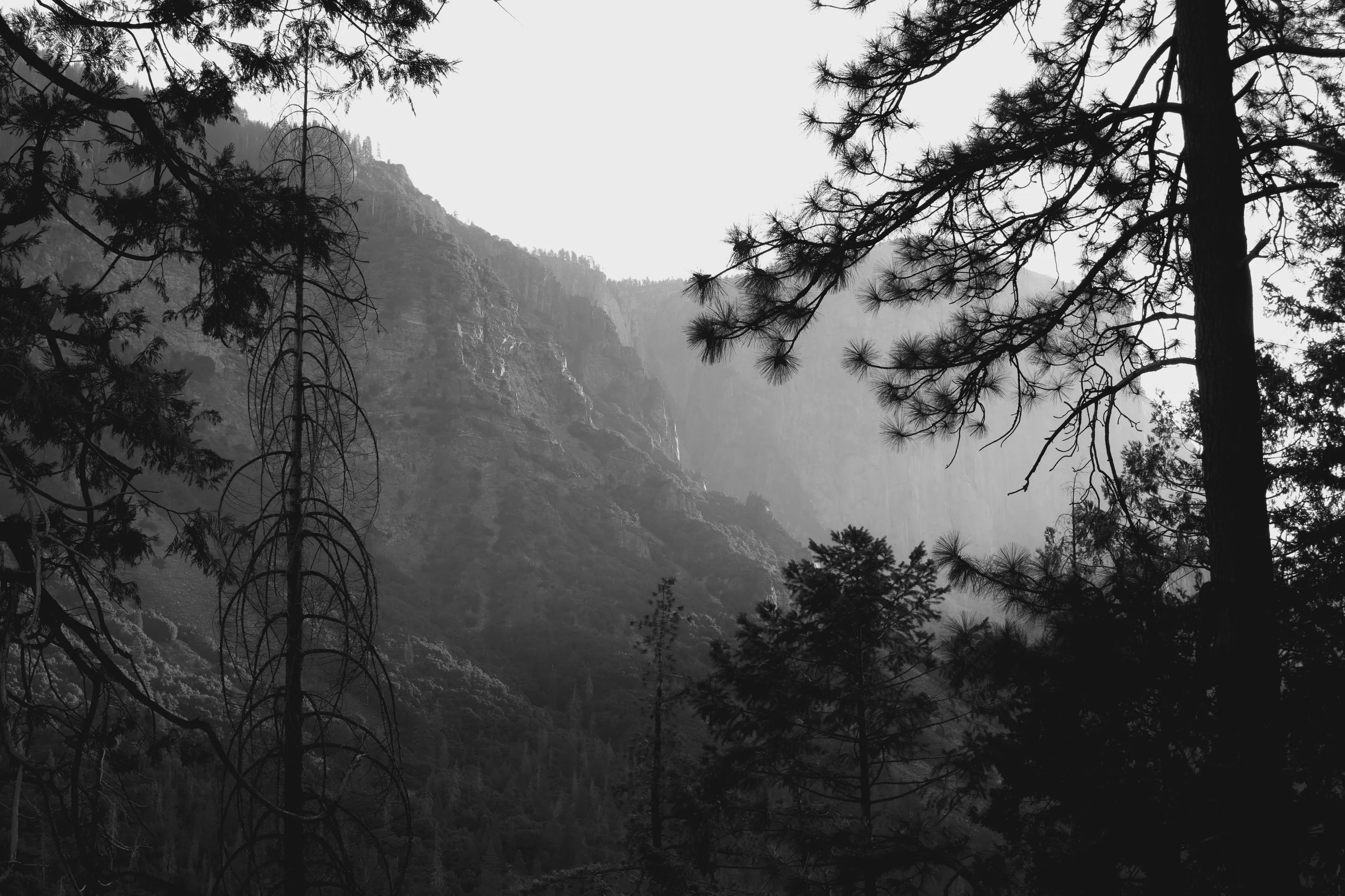 Yosemite, California