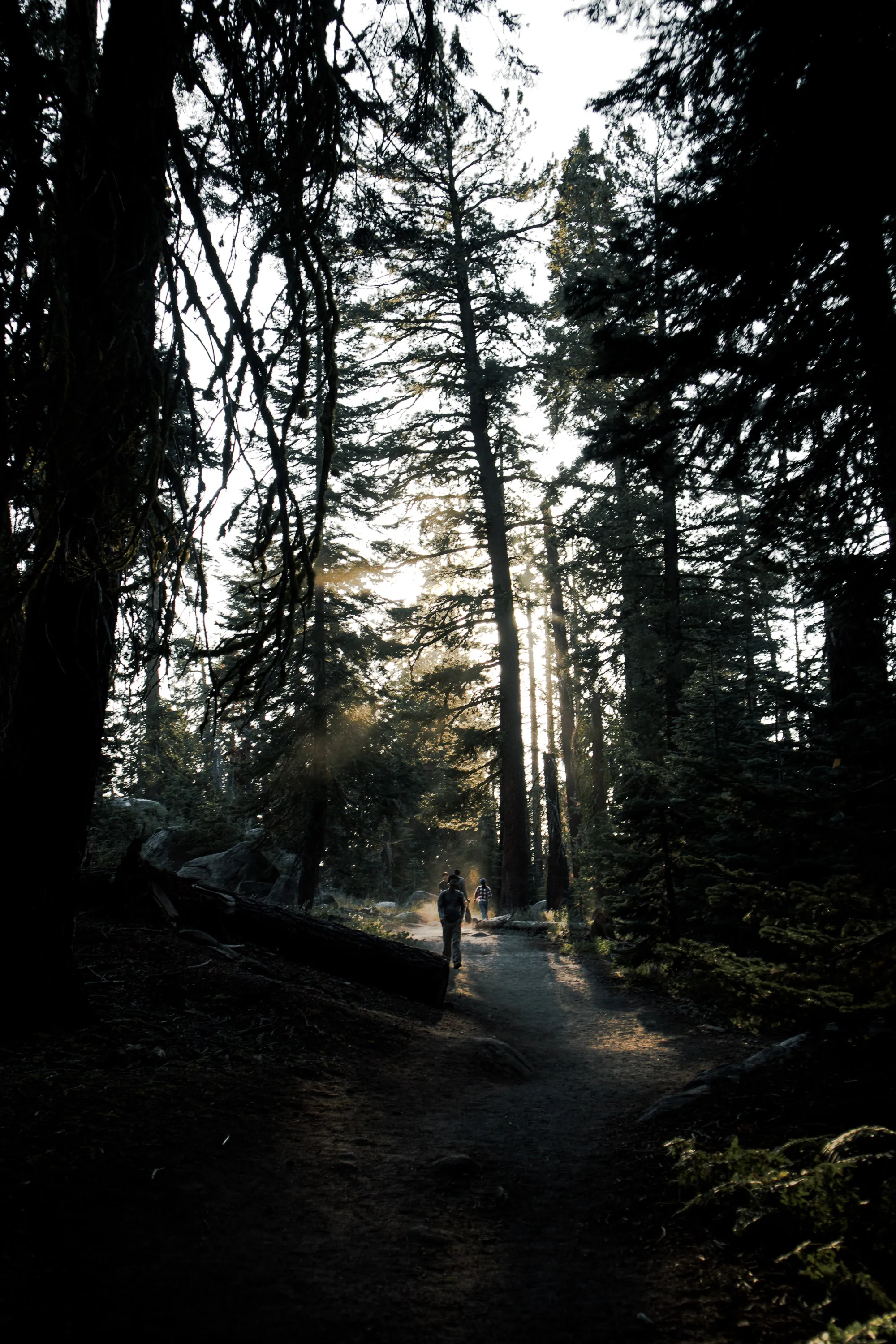 Yosemite, California